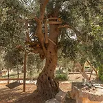 Apartment I Sette Coni