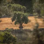 I Sette Coni Apartment Cisternino