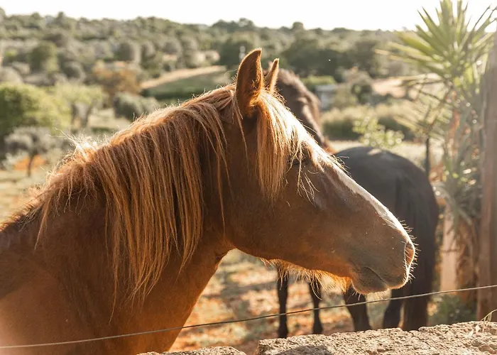 I Sette Coni تْشيستيرنِنو