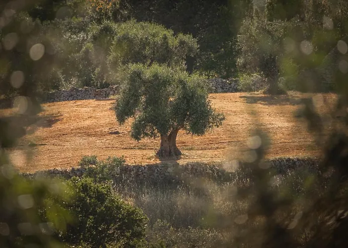 I Sette Coni شقة تْشيستيرنِنو