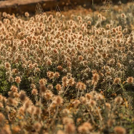 I Sette Coni Appartamento *