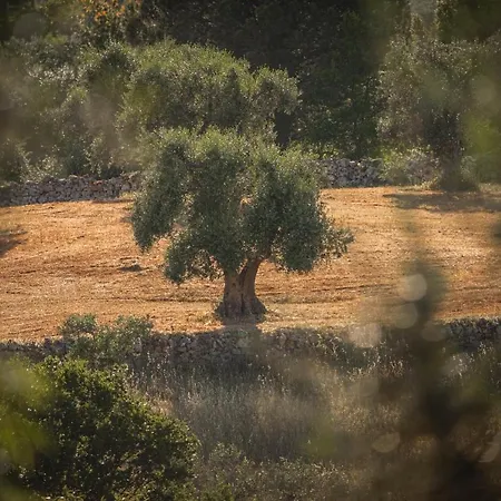 I Sette Coni Apartamento Cisternino